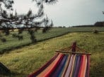 Hammock Hammock
